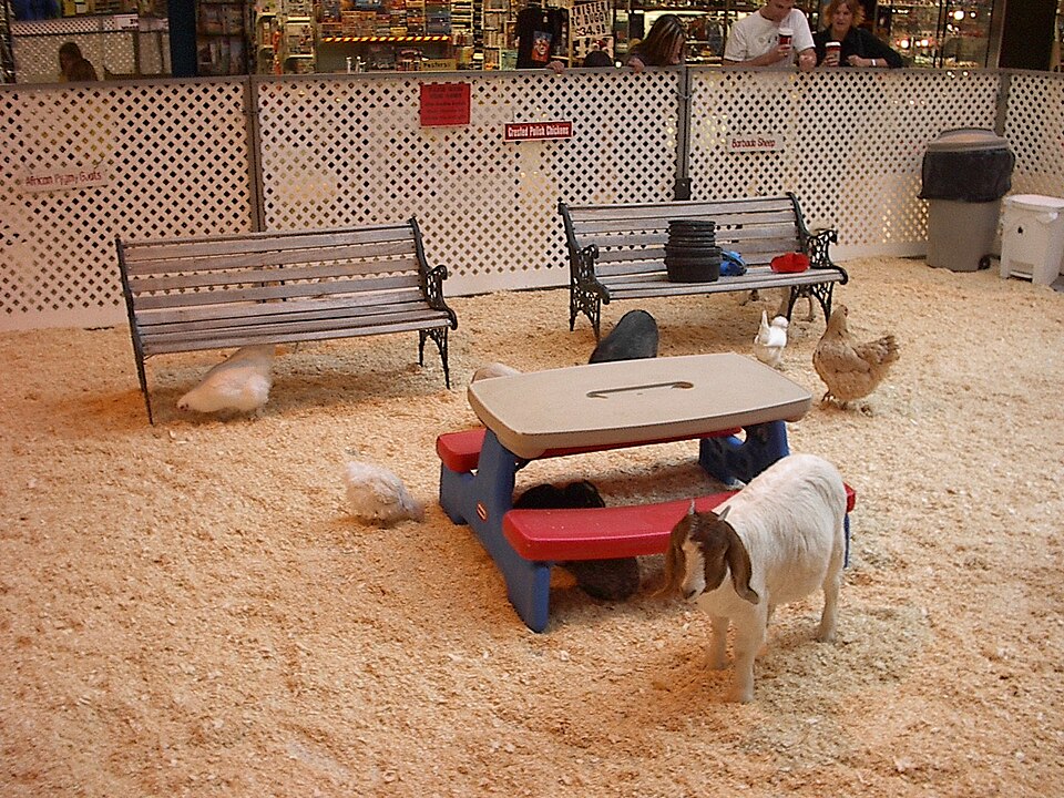 Kinderboerderij Steinerbos