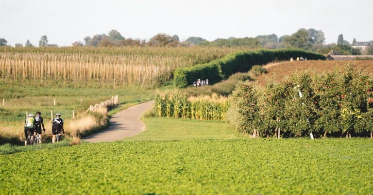 Mergelheuvelland 2-Daagse — sport in Zuid-Limburg