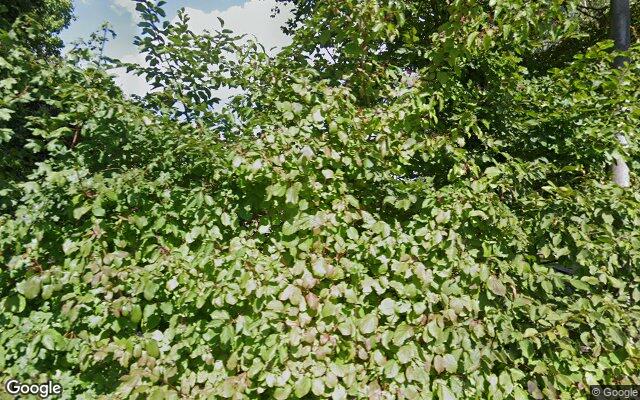 Speeltuin Gutsgrenze