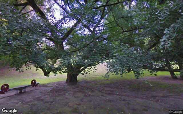 Speeltuin Aldenhofpark