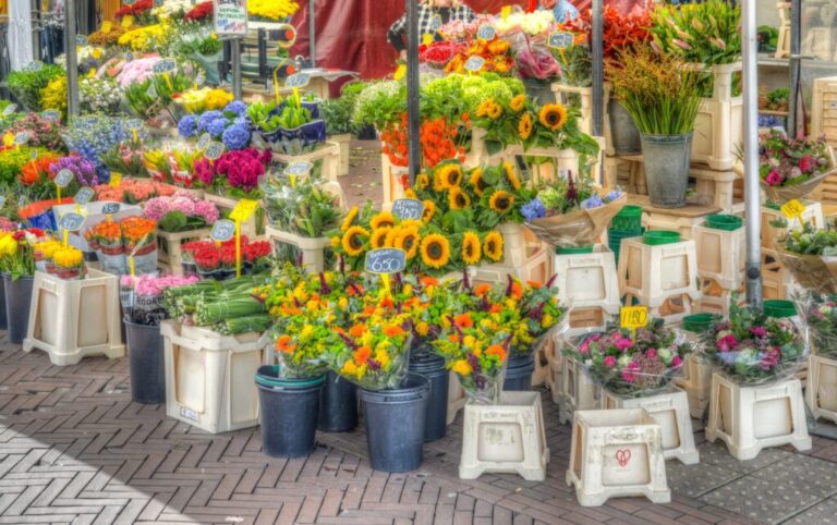 Braderie Treebeek 2026 — Braderie en jaarmarkt in Zuid-Limburg