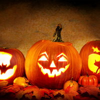 herfstsjpas | pompoen uithollen in Zuid-Limburg