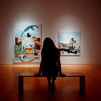 kijk op kunst en cultuur met doris schillings in Zuid-Limburg