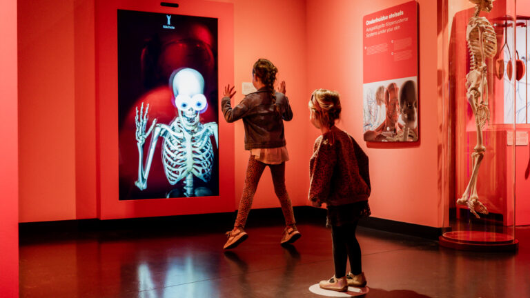 Discovery Jeugd Colleges — familie-kids in Zuid-Limburg