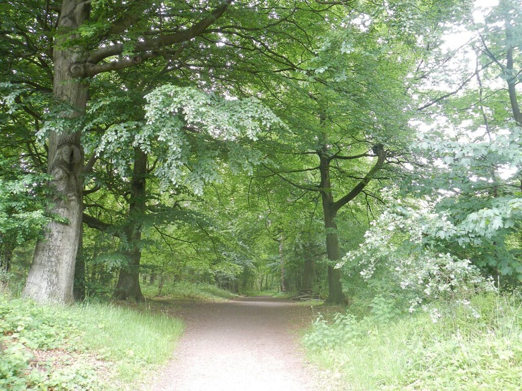 Lichtjeswandeling door de lens van Werner Mantz in Zuid-Limburg